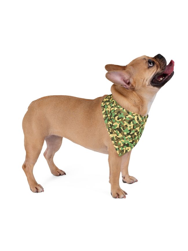 Pet Bandana