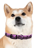 10093209363650406483_4096.jpeg