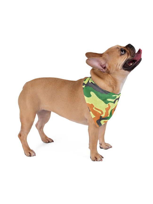 Pet Bandana