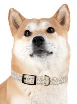 10411808138447747548_4096.jpeg