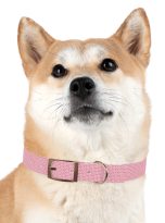 10461284202773308356_4096.jpeg
