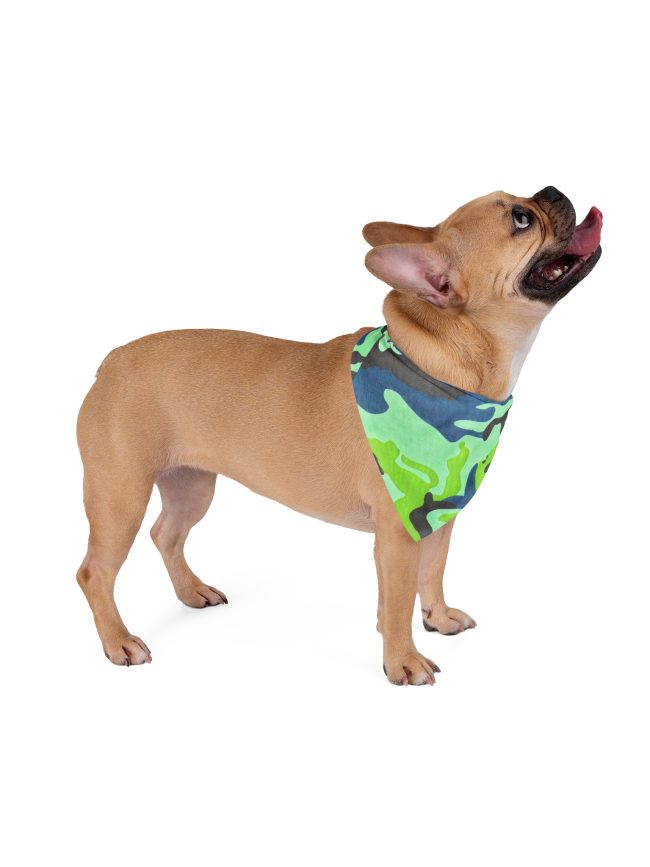 Pet Bandana