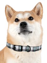 1050507986689451700_4096.jpeg