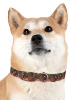 10708808756409210681_4096.jpeg