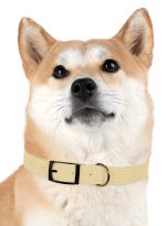 10832458773704471534_4096.jpeg