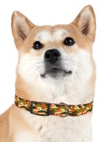 10882214431854568240_4096.jpeg