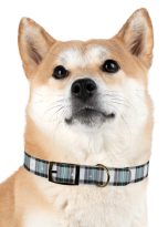 11238127669044413314_4096.jpeg