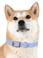 11623505767958514603_4096.jpeg