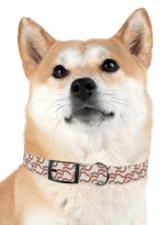11684992723001570126_4096.jpeg