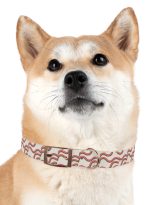 11761703013110205392_4096.jpeg