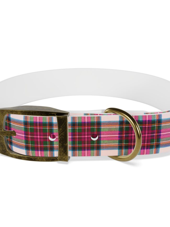 Stylish Dog Collar, Fashionable Pet Accessory, Gifts for Dog Lovers, Holiday Pet Gift, Colorful Plaid Design