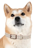 11948786961279944781_4096.jpeg