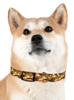12003553801089806868_4096.jpeg