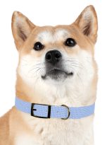12216190184588555884_4096.jpeg