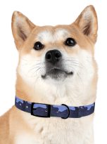 12433338907029571623_4096.jpeg