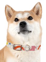 12846030154986626151_4096.jpeg