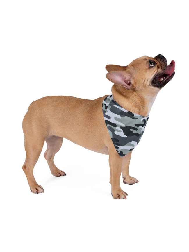 Pet Bandana