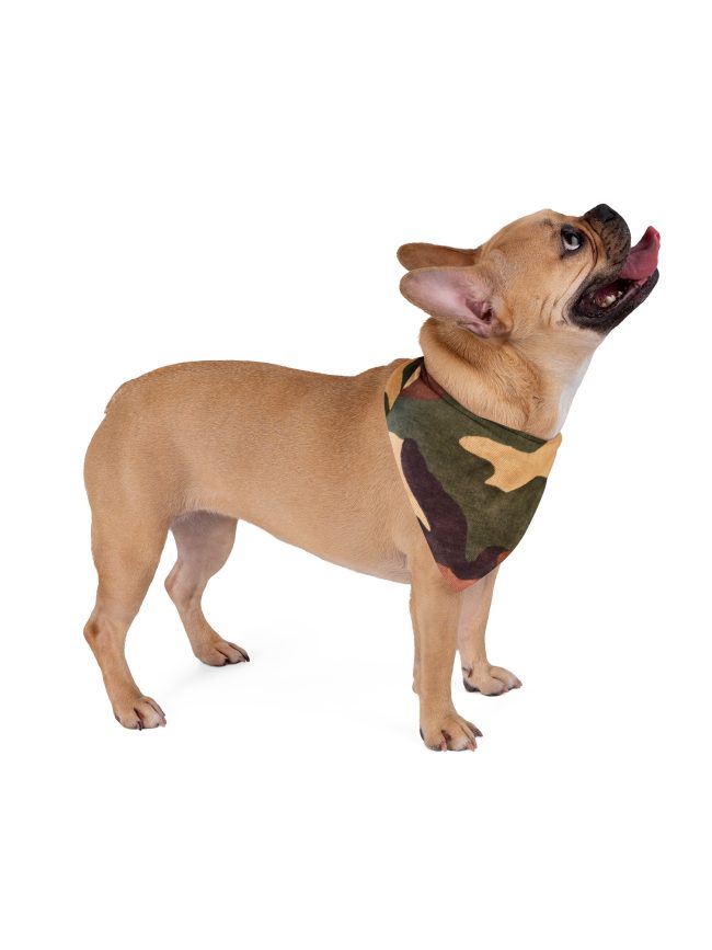 Pet Bandana