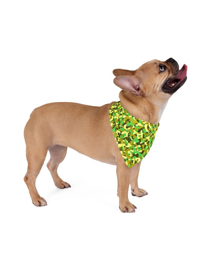 Pet Bandana