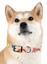 13178938454125166597_4096.jpeg