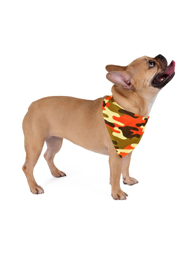 Pet Bandana