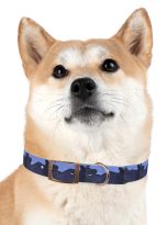 13804331667187677477_4096.jpeg