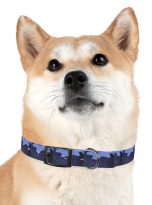 14044557572495462632_4096.jpeg