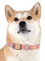 14081231240556941720_4096.jpeg