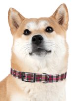 14272244728110964101_4096.jpeg