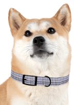 14616954735122950625_4096.jpeg