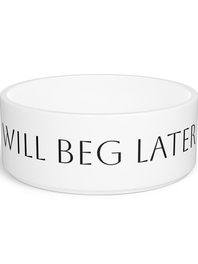 Pet Bowl