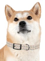 148494476371301271_4096.jpeg