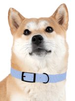 148765085704832074_4096.jpeg