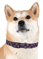 14923942425236198248_4096.jpeg