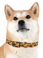 15524640618117802032_4096.jpeg