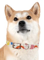 15701124428958634669_4096.jpeg