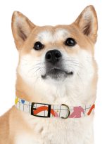 15813862930071437794_4096.jpeg