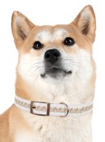 15975331548531503526_4096.jpeg