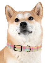 16050894123434016139_4096.jpeg