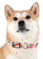 1607114817191952582_4096.jpeg