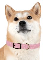 16266467153251140663_4096.jpeg