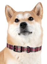 16312273437899506022_4096.jpeg