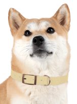 16365263597926266600_4096.jpeg