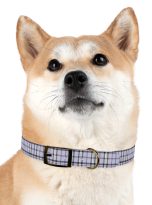 16490858632273004002_4096.jpeg