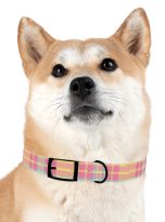 16627901526942415029_4096.jpeg