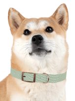 16647633203708292789_4096.jpeg