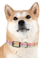 17221443641639344442_4096.jpeg