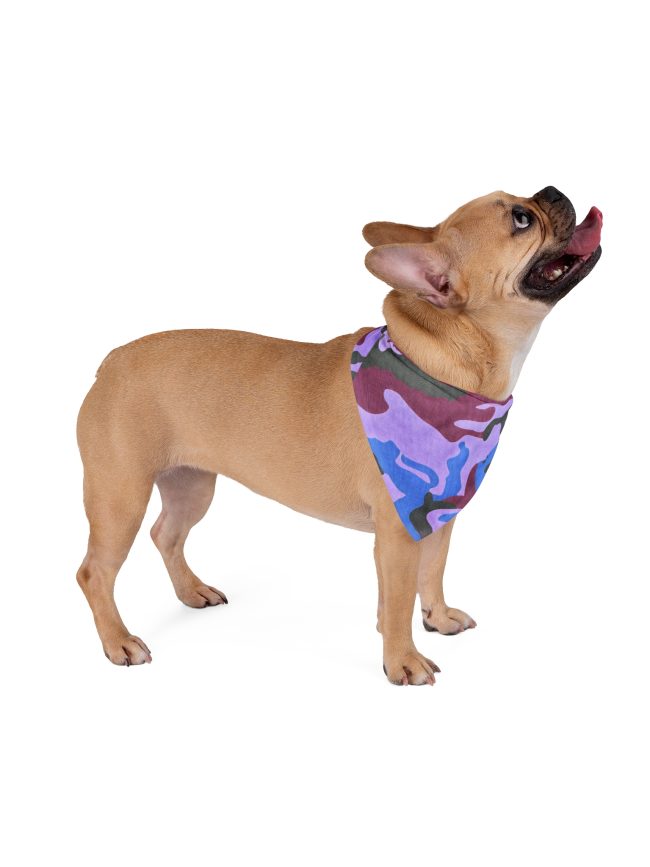 Pet Bandana