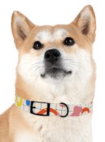 17454070434068422138_4096.jpeg