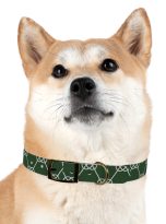 1754890593023523003_4096.jpeg
